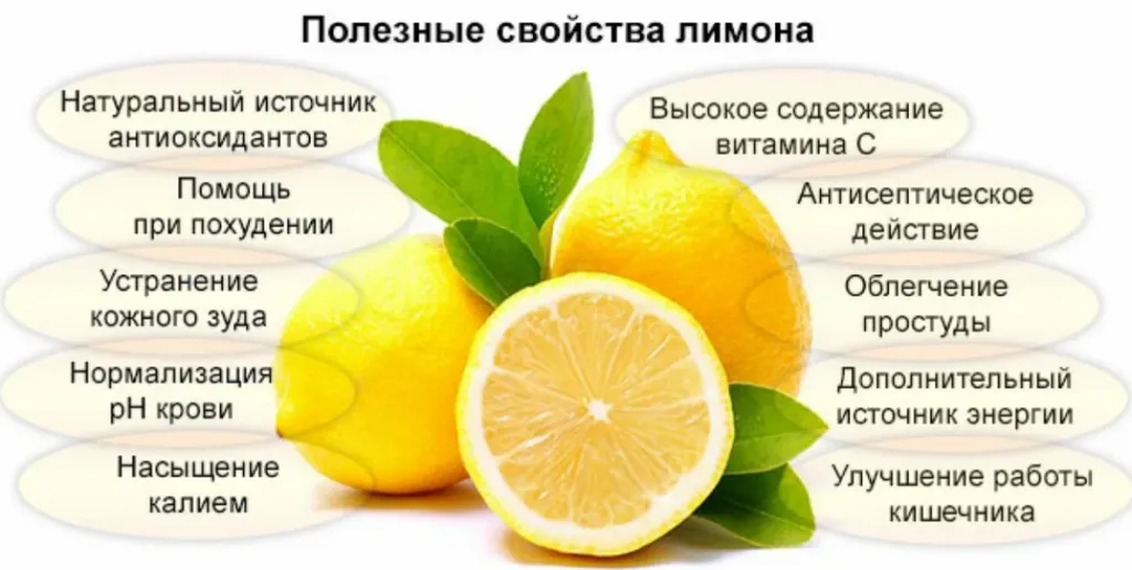 лимонный сок в Санкт-Петербурге 2