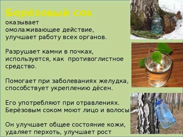 берёзовый сок  в Санкт-Петербурге